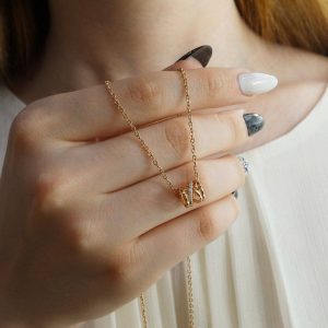 گردنبند حلقوی به همراه زنجیر